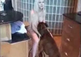 Tasting cunt is what this doggy is great at