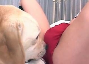 Sweet puppy is satisfying asian babe