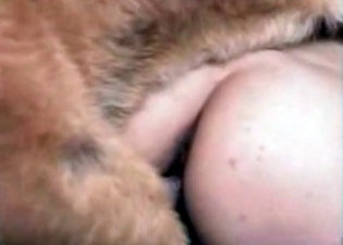 Lovely hound can be extremely dirty