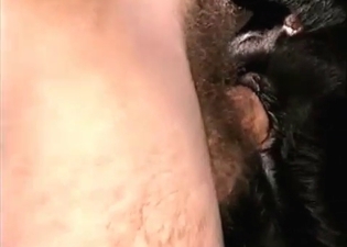 Deep fuck session for a dog