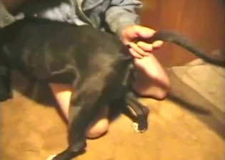 Just playing with my lovely black doggy