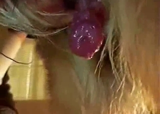 Nice to see how doggy dick is cumming