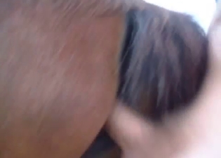 Male cock looks gorgeous in horse asshole