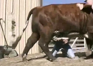 Dude happily sticks his cock wherever