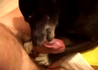 Black dog worships that hot human cock