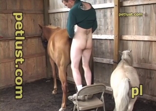 A male with a long penis fucked his horse in the barn