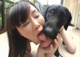 Black dog fucked her little hole from behind on cam