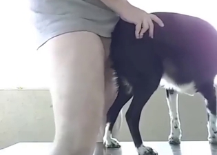 Exclusive zoo XXX scene with a dog taking dick