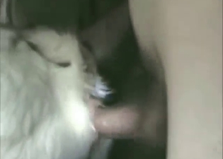 Dude can't help but fuck that tight opening