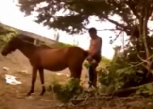 Sexed-up mare is going to get fucked silly