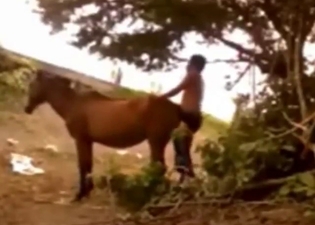 Sexed-up mare is going to get fucked silly
