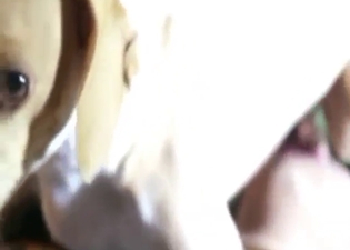 Zoophile porn with a cock sucker who fucks