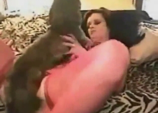 Tiny dog is going to fuck her right up today