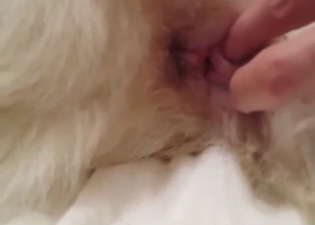 Nice guy's cock is sliding in and out of that hole