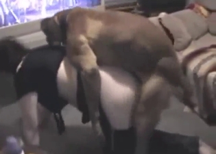 First time super-fuck for a horny beast here