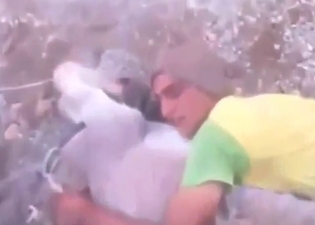 Hard-dicked zoophile wants this donkey FUCKED