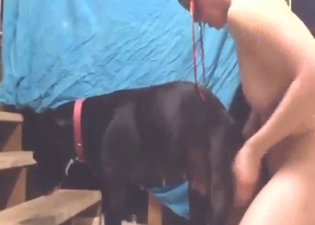 Rush in to get that dog feeling all kinds of horny