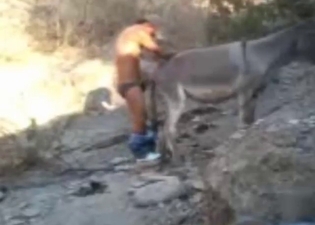 Zoophile working on that big beast's hole