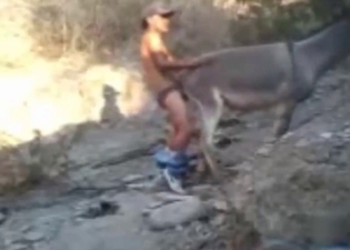 Zoophile working on that big beast's hole