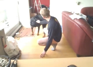 Hot bald zoophile fucker takes it on all fours