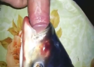 Confusing zoo fuck movie with a sexy fish