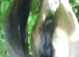 Brazilian zoo porn with a sexy mare looking TIGHT