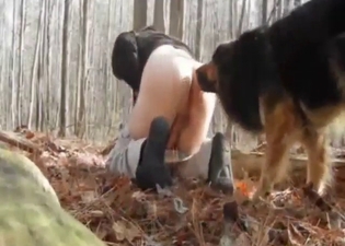 Doggystyle zoo porn with a tight ass hottie