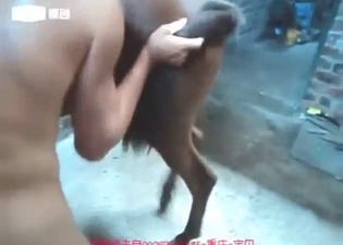Mare fucking movie with a sexy beast teasing