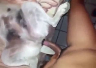 Dude drilling a dog in various positions, HARD