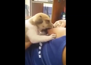 Zoophile lets this dog drink milk from the tit