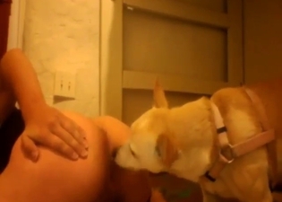 Ass cleaning session with a sexy beast here