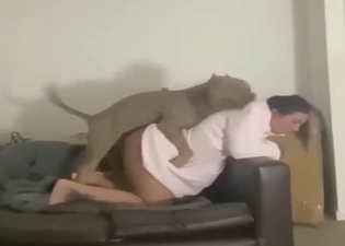 Fucks a dog to make it so so happy for real