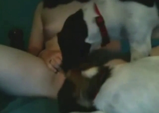 Zoo porn with puppies that suck on her cunt