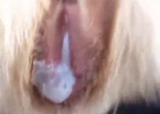 Great-looking pussy gets fucked hard in POV