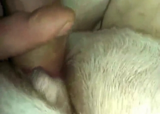 Zoo XXX movie with a beast that gets fucked