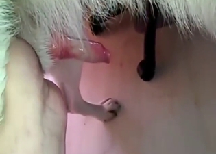 Great and hot fuck scene with real handjobs