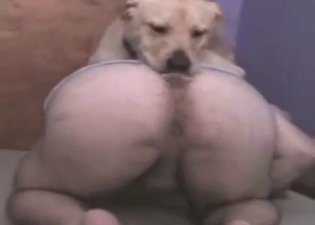 Zoo XXX with a tight ass knotted by a Labrador