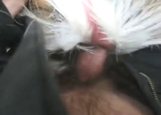 Zoo XXX with a guy who has a deer ready to cum