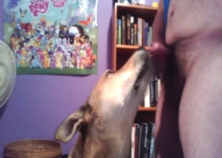 Dude has a dog licking that penis very well