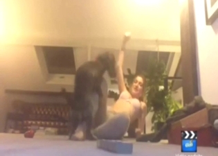 Dog-loving bitch takes beast dick on all fours