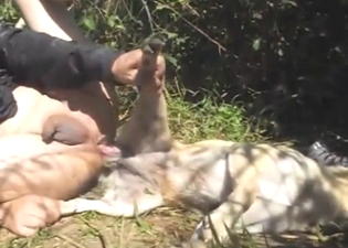 Knot sideways fuck with a dude and his doggo