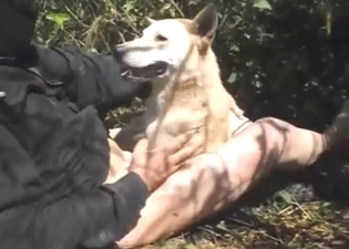 Knot sideways fuck with a dude and his doggo