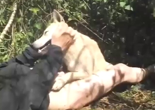Knot sideways fuck with a dude and his doggo