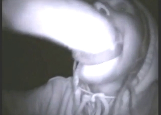 Stallion suckjob with plenty of hard fisting in HQ