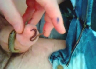 Zoophile has a worm and slug fighting over his D