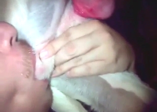 Bestiality porn shows a guy sucking on dog's nuts