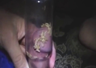 Bestiality sex with plenty of maggots on cock head
