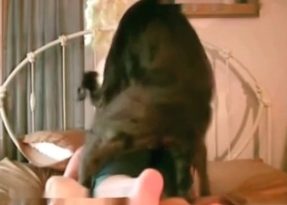 This skillful puppy is great at fucking
