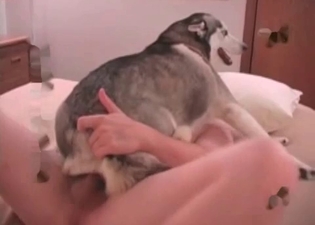 Anal fuck for a little puppy