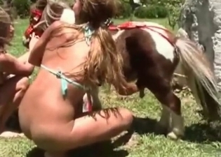 Little horse is pleasing two babes